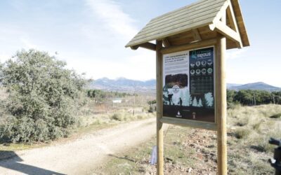 Un nuevo ‘Bosque SIGAUS’ en el corazón de Guadarrama